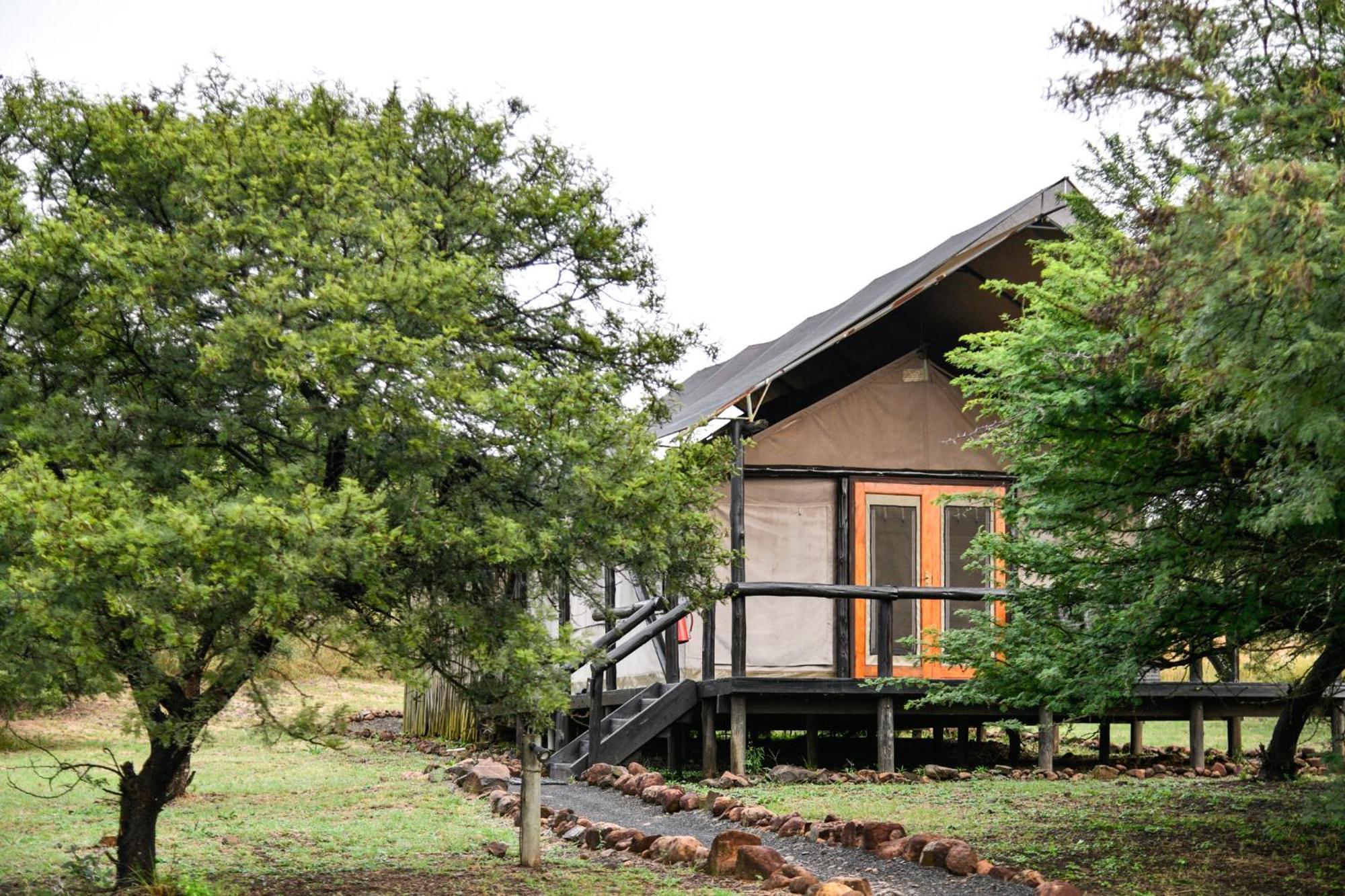 The Springbok Lodge Ladysmith Eksteriør billede