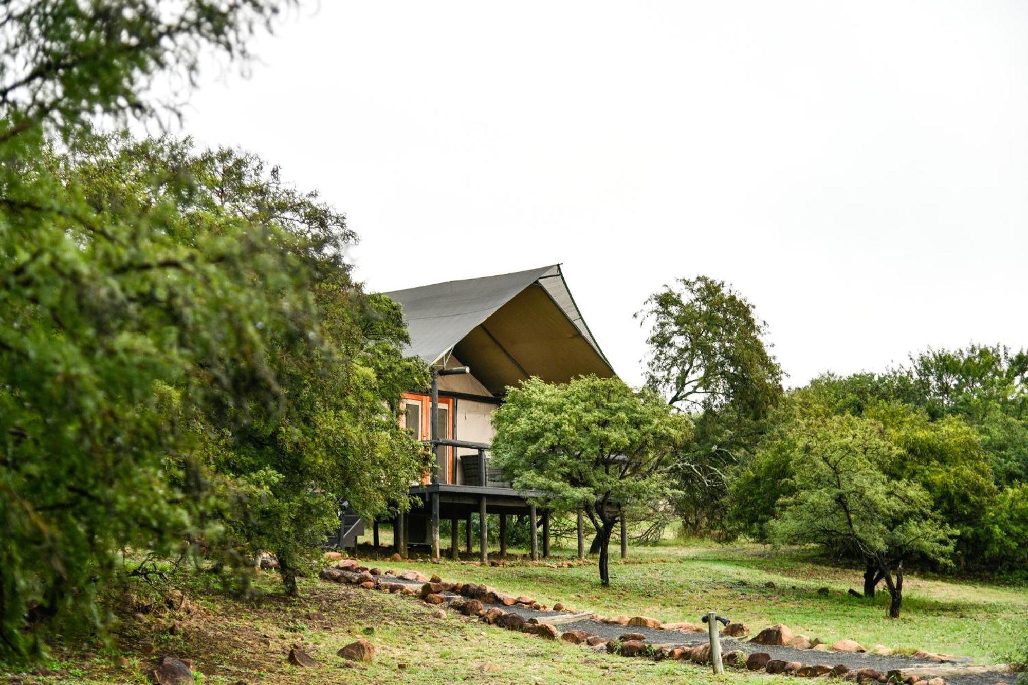 The Springbok Lodge Ladysmith Eksteriør billede